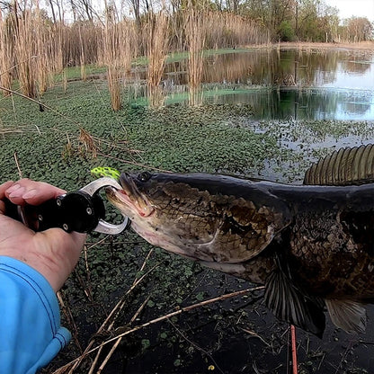Grenouille de surface Flottante : Le leurre ultime pour attirer les brochets
